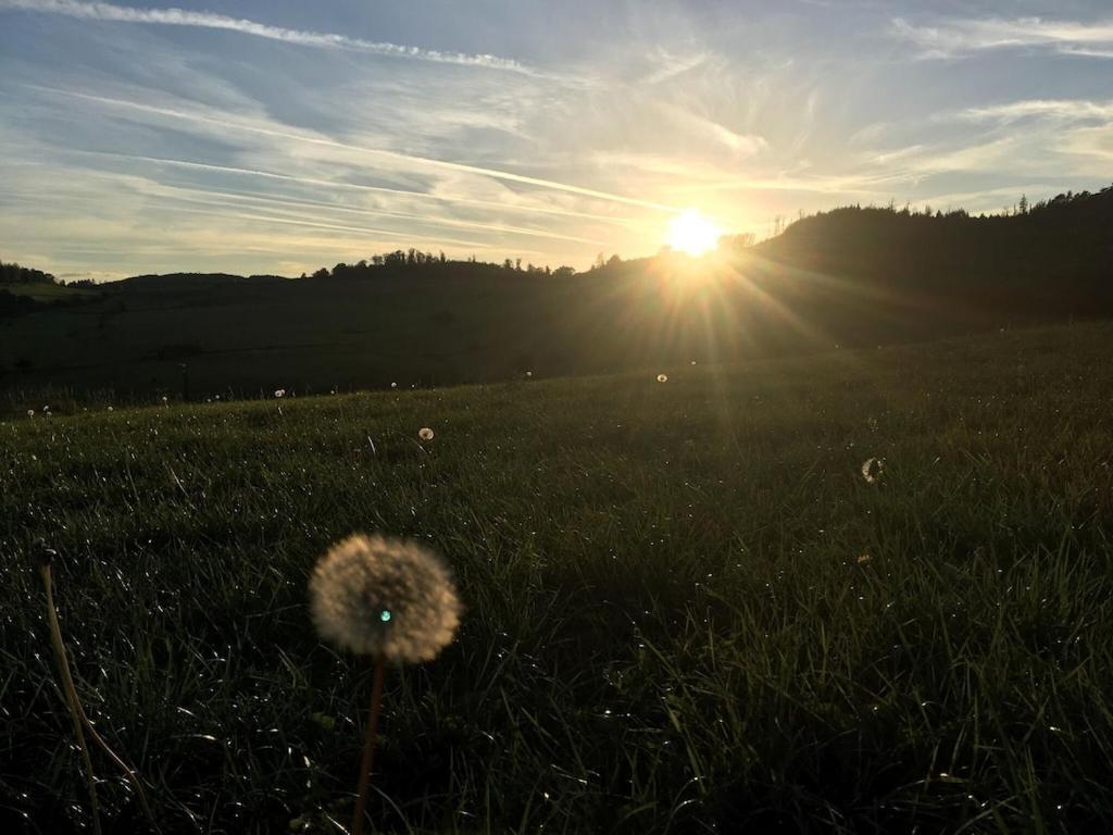 Natur Pur Im Schoenen Sauerland Apartment Allendorf  ภายนอก รูปภาพ