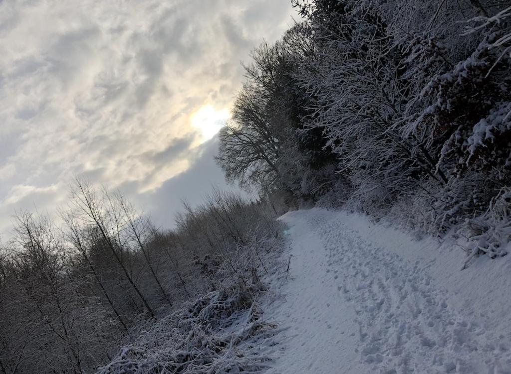 Natur Pur Im Schoenen Sauerland Apartment Allendorf  ภายนอก รูปภาพ